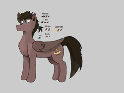 Size: 4000x3000 | Tagged: safe, derpibooru import, oc, oc only, oc:dustwing, pegasus, brown fur, brown mane, gray background, pegasus oc, reference sheet, simple background, solo, wings