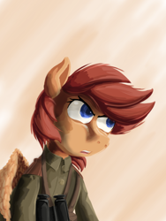 Size: 1536x2048 | Tagged: safe, artist:soursweet cheese, derpibooru import, pegasus, pony, binoculars, clothes, commander, friendship is a lie, military pony, military uniform, solo, uniform