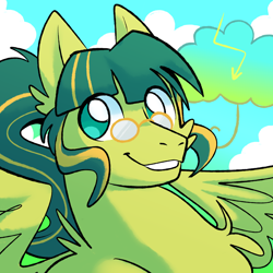 Size: 2000x2000 | Tagged: safe, artist:hydroflorix, derpibooru import, oc, oc only, pegasus, pony, bust, cloud, glasses, grin, male, outdoors, pegasus oc, smiling, solo, stallion, wings