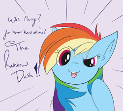 Size: 3228x2896 | Tagged: safe, artist:tkshoelace, derpibooru import, rainbow dash, pegasus, pony, g4, dialogue, eye clipping through hair, pointing at self, raised hoof, raised leg, signature, solo, text