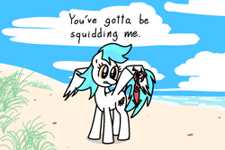 Size: 1500x1002 | Tagged: safe, artist:purblehoers, derpibooru import, oc, oc:crabcakes, pegasus, squid, beach, cloud, female, grass, mare, ocean, sand, solo, spread wings, text, water, wings
