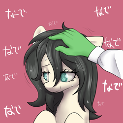 Size: 3000x3000 | Tagged: safe, artist:dumbwoofer, derpibooru import, oc, oc only, oc:floor bored, earth pony, pony, anonymous, chest fluff, female, greasy, hand, hand on head, head pat, japanese, mare, meme, motion lines, neet, nervous, nervous smile, nervous sweat, pat, rubbing, smiling, solo, sweat, sweatdrop, sweating profusely