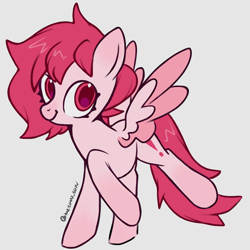 Size: 4096x4096 | Tagged: safe, artist:metaruscarlet, derpibooru import, oc, oc only, oc:metaru scarlet, pegasus, pony, gray background, hooves up, looking at you, pegasus oc, ponysona, simple background, solo, spread wings, wings