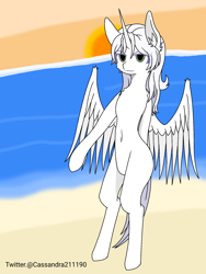 Size: 1500x2000 | Tagged: safe, artist:cassandra211190, derpibooru import, oc, oc:κασσάνδρα, alicorn, pony, alicorn oc, horn, wings