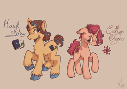 Size: 2231x1564 | Tagged: safe, artist:alex6886, derpibooru import, oc, oc only, oc:cotton bloom, oc:hazel wise, pony, unicorn, g4, bandaid, book, brown eyes, brown mane, cutie mark, duo, flower, green eyes, horn, pink mane, reference sheet, simple background, unicorn oc, unshorn fetlocks