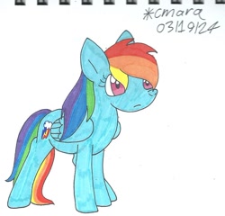 Size: 1004x964 | Tagged: safe, artist:cmara, derpibooru import, rainbow dash, pegasus, g4, female, simple background, solo, white background