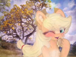 Size: 4096x3072 | Tagged: safe, artist:sodapop sprays, derpibooru import, applejack, earth pony, pony, blushing, chest fluff, cloud, cowboy hat, cowgirl, cute, ear fluff, ears, freckles, hat, headband, irl, irl background, jackabetes, looking at you, one eye closed, open mouth, photo, shoulder fluff, smiling, solo, unshorn fetlocks, wink
