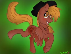 Size: 1280x960 | Tagged: safe, artist:doodle-hooves, derpibooru import, oc, oc only, oc:calamity, pegasus, pony, fallout equestria, blushing, chest fluff, colored wings, cowboy hat, dashite, dashite brand, eyebrows, eyebrows visible through hair, green background, hat, heart, hoof fluff, male, pegasus oc, running, signature, simple background, smiling, solo, stallion, two toned wings, wings