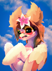 Size: 2025x2800 | Tagged: safe, artist:kainy, derpibooru import, oc, pegasus, pony, big ears, ears, embarrassed, female, flower, flower in hair, fluffy, heterochromia, looking at you, mare, open mouth, pony oc