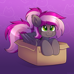 Size: 2900x2900 | Tagged: safe, artist:madelinne, derpibooru import, oc, oc only, oc:bitwise operator, bat pony, pony, bat pony oc, bat wings, behaving like a cat, box, female, gradient background, mare, pony in a box, solo, wings