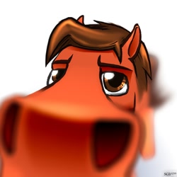 Size: 1484x1484 | Tagged: safe, artist:scarletdex8299, derpibooru import, oc, oc only, oc:redgear alloy, earth pony, pony, close-up, extreme close-up, looking at you, male, nostrils, offscreen character, pov, sniffing, snoot, solo