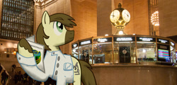 Size: 1024x490 | Tagged: safe, artist:bitgamer, derpibooru import, oc, oc only, oc:calpain, earth pony, pony, grand central station, irl, male, photo, ponies in real life, solo, stallion