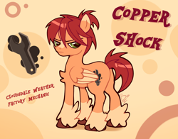 Size: 1400x1100 | Tagged: safe, artist:doodlesinky, derpibooru import, oc, oc:copper shock, pegasus, pony, abstract background, annoyed, blaze (coat marking), coat markings, cutie mark, facial markings, full body, male, pegasus oc, reference sheet, signature, stallion, stallion oc, text, unshorn fetlocks, watermark, wrench