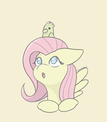 Size: 1963x2237 | Tagged: safe, artist:tkshoelace, derpibooru import, fluttershy, bird, pegasus, pony, g4, bust, duo, looking up, o mouth, simple background, spread wings, wings