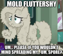 Size: 443x397 | Tagged: safe, derpibooru import, edit, edited screencap, screencap, fluttershy, pegasus, pony, g4, the saddle row review, caption, dust, female, image macro, mare, solo, text