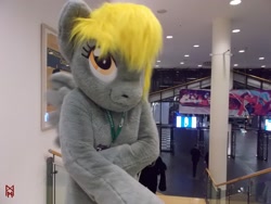 Size: 1600x1200 | Tagged: safe, artist:atalonthedeer, artist:giovannimagnus, derpibooru import, derpy hooves, pegasus, 2016, bust, eurofurence, fursuit, indoors, irl, photo, ponysuit, portrait, solo, spread wings, wings