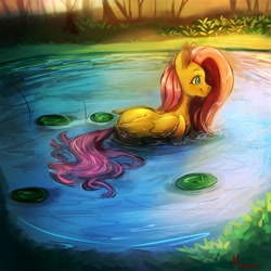 Size: 4000x4000 | Tagged: safe, artist:miokomata, derpibooru import, fluttershy, pegasus, pony, g4, crepuscular rays, cute, flowing tail, freckles, freckleshy, lilypad, partially submerged, pegaduck, pond, shyabetes, smiling, solo, sunlight, swimming, tail, water, wet, wet tail