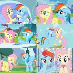 Size: 736x736 | Tagged: safe, derpibooru import, screencap, fluttershy, rainbow dash, tank, pegasus, pony, tortoise, g4, sonic rainboom (episode), tanks for the memories, the ending of the end, bathrobe, clothes, collage, crying, donut, duo focus, episode needed, female, food, mare, one wing out, robe, sad, trade ya!, trio, wings, yay