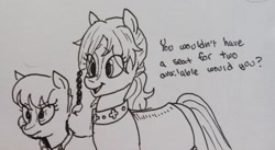 Size: 2048x1126 | Tagged: safe, artist:pony quarantine, derpibooru import, sergeant reckless, wadduda, earth pony, pony, duo, duo female, eye clipping through hair, female, grayscale, mare, monochrome, open mouth, open smile, pen drawing, ponified, ponified horse, smiling, species swap, traditional art