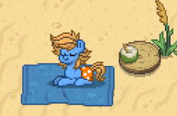 Size: 1012x665 | Tagged: safe, derpibooru import, oc, oc only, oc:blue cookie, earth pony, pony, beach, clothes, cute, digital art, earth pony oc, eyes closed, male, photo, pixel art, pony town, smiling, solo, stallion, swimming trunks, swimsuit