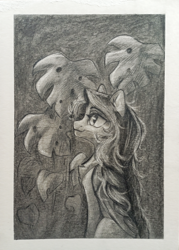 Size: 2791x3903 | Tagged: safe, artist:jsunlight, derpibooru import, oc, oc only, pegasus, pony, monochrome, solo, traditional art