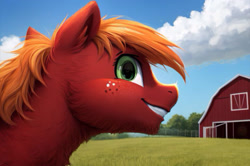 Size: 2160x1433 | Tagged: safe, ai content, derpibooru import, machine learning generated, big macintosh, earth pony, pony, barn, catchlights, cursed mario, eye reflection, eyelashes, freckles, generator:perchance, looking at you, male, outdoors, prompter needed, reflection, solo, stallion, when you see it