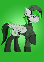 Size: 1200x1700 | Tagged: safe, artist:hovawant, derpibooru import, oc, oc only, oc:nighty, pegasus, beanie, clothes, gradient background, green and black mane, green and black tail, green background, green eyes, hat, looking at you, male, pegasus oc, shirt, simple background, socks, solo, wings