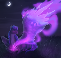 Size: 2600x2500 | Tagged: safe, artist:dementra369, derpibooru import, oc, oc only, pegasus, phoenix, pony, book, constellation, crescent moon, lying down, magic, moon, night, one wing out, pegasus oc, prone, solo, stars, wings