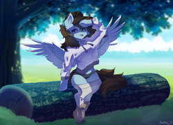 Size: 3752x2736 | Tagged: safe, artist:saiku_7, derpibooru import, oc, oc:abris, pegasus, pony, semi-anthro, :p, baseball cap, cap, clothes, female, forest, hat, hoodie, log, mare, nature, shoes, socks, solo, tongue, tongue out, tree