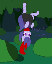 Size: 6592x8078 | Tagged: safe, artist:izzy64, derpibooru import, oc, oc only, oc:lucky day, earth pony, pony, clothes, earth pony oc, hanging, rope, scarf, solo, upside down