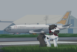 Size: 1800x1222 | Tagged: safe, artist:rieyadraws, derpibooru import, oc, oc only, oc:jet blast, pegasus, air force, air force base, airport, blue eyes, boeing, boeing 737, chest fluff, ear fluff, ears, floppy ears, grass, hangar, husein sastranegara afb, indonesia, indonesian, jet engine, looking at something, plane, raised hoof, raised leg, taxiway, wings