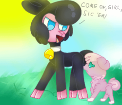 Size: 370x320 | Tagged: safe, artist:pomdb, derpibooru import, pom lamb, dog, sheep, them's fightin' herds, bell, bell collar, collar, community related, dogified, duo, duo male and female, female, grass, looking at someone, male, open mouth, role reversal, sheepified, species swap, sun