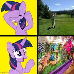 Size: 500x500 | Tagged: safe, editor:railpony, twilight sparkle, twilight sparkle (alicorn), alicorn, human, pony, female, golf, hotline bling, imgflip, irl human, male, male and female, meme, minigolf, ponified, ponified meme, reaction, response, solo