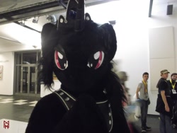 Size: 1600x1200 | Tagged: safe, artist:atalonthedeer, artist:giovannimagnus, derpibooru import, oc, oc:midnight romance, alicorn, human, 2016, bust, eurofurence, fursuit, indoors, irl, irl human, jewelry, photo, ponysuit, portrait, regalia, solo focus