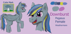 Size: 9000x4281 | Tagged: safe, derpibooru import, oc, oc only, oc:downburst, pegasus, pony, cutie mark, reference sheet, simple background