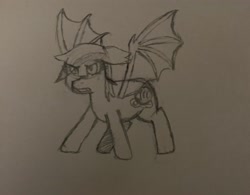 Size: 3024x2363 | Tagged: safe, artist:supersonicrainboom, derpibooru import, oc, oc:echo, bat pony, atg 2024, newbie artist training grounds, pencil drawing, sketch, solo, traditional art