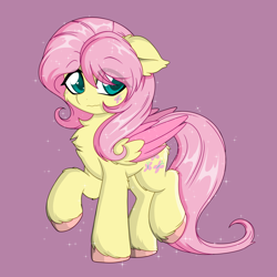 Size: 5000x5000 | Tagged: safe, artist:darkstorm mlp, derpibooru import, butterscotch, fluttershy, pegasus, pony, g4, butt fluff, cheek fluff, chest fluff, colored wings, cute, ear fluff, ears, eye clipping through hair, fetlock tuft, folded wings, girly, leg fluff, male, quadrupedal, raised hoof, raised leg, rule 63, simple background, solo, sparkles, two toned wings, unshorn fetlocks, wing fluff, wings