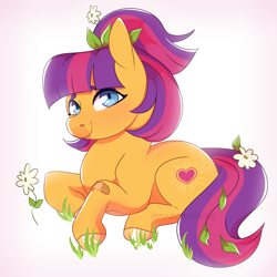 Size: 2560x2560 | Tagged: safe, artist:primrosepaper, earth pony, pony, bandaid, flower, flower in hair, heart, looking at you, maggie joy, solo