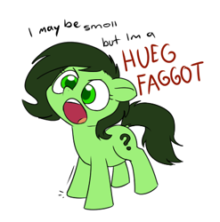 Size: 396x401 | Tagged: safe, artist:furseiseki, derpibooru import, oc, oc only, oc:anon filly, earth pony, pony, faggot, female, filly, foal, simple background, slur, solo, vulgar, white background