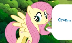 Size: 417x247 | Tagged: safe, derpibooru import, screencap, fluttershy, pegasus, pony, g4, cyrillic, game, gameloft, russian, solo, stop