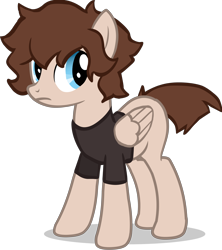 Size: 4240x4780 | Tagged: safe, artist:foxtrnal, derpibooru import, oc, oc only, pegasus, pony, blue eyes, brown mane, clothes, frown, high res, pegasus oc, shirt, show accurate, simple background, solo, t-shirt, transparent background