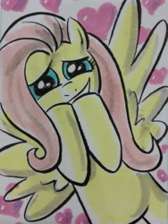 Size: 769x1024 | Tagged: safe, artist:thom zahler, derpibooru import, fluttershy, pegasus, pony, g4, 2013, c2e2, c2e2 2013, covering mouth, female, grin, heart, heart background, looking at you, mare, sketchcard, smiling, solo, spread wings, traditional art, wings