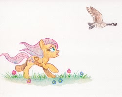 Size: 2000x1595 | Tagged: safe, artist:nedemai, derpibooru import, fluttershy, bird, goose, pegasus, pony, atg 2024, female, flower, looking up, mare, newbie artist training grounds, open mouth, solo, traditional art, watercolor painting, windswept mane