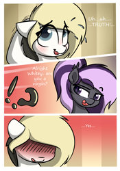 Size: 1400x2000 | Tagged: safe, artist:vipy, derpibooru import, part of a series, part of a set, oc, oc only, oc:nightwalker, oc:whiteout, bat pony, pegasus, pony, comic, nervous, nervous smile, question, question mark, smiling, truth or dare