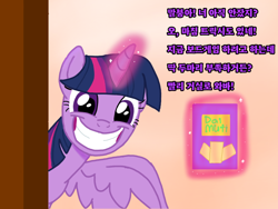 Size: 1024x768 | Tagged: safe, artist:miller31744, derpibooru import, twilight sparkle, alicorn, pony, g4, female, grin, horn, korean, mare, smiling, spread wings, translated in the description, wide grin, wide smile, wings