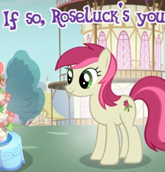 Size: 347x362 | Tagged: safe, derpibooru import, screencap, roseluck, earth pony, pony, g4, cropped, english, female, gameloft, mare, meme, ponyville town hall, solo, text, waifu, wow! glimmer