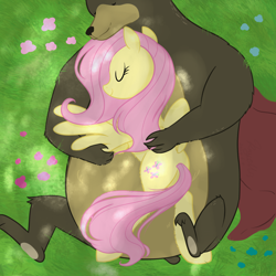 Size: 2048x2048 | Tagged: safe, artist:rayelli, derpibooru import, fluttershy, harry, bear, pegasus, pony, g4, cute, duo, female, flower, lying down, lying on top of someone, mare, relaxing, sleeping, spread wings, wings