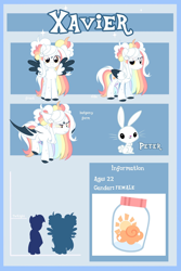 Size: 1440x2160 | Tagged: safe, derpibooru import, oc, pegasus, pony, adoptable, art, base, character, commission, present, your character here