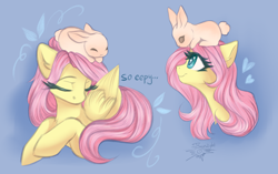 Size: 2700x1700 | Tagged: safe, artist:jsunlight, derpibooru import, fluttershy, pegasus, pony, rabbit, animal, cute, shyabetes, sleeping, solo, terraria, wings