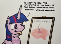 Size: 2048x1495 | Tagged: safe, artist:hoofclid, derpibooru import, twilight sparkle, twilight sparkle (alicorn), alicorn, pony, g4, brain, chart, dialogue, female, mare, marker drawing, open mouth, open smile, organs, smiling, solo, traditional art